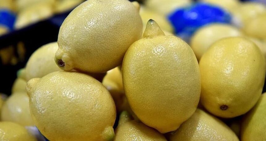Limonu kiloyla almak hayal oldu! Pazarlarda tane fiyatı şoke etti