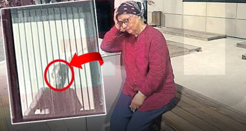 Merhametiniz yok mu!