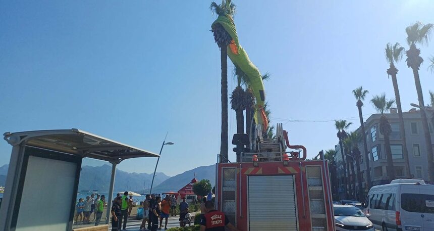Muğla’da deniz paraşütü ağaca takıldı