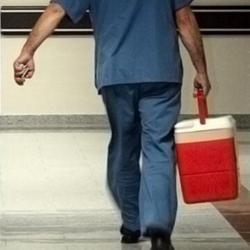 organ-bagisinda-dijital-basvuru-donemi-e-devlet-ve-e-nabizdan-yapilabilecek-1QgfYWUk.jpg Organ bağışında dijital başvuru dönemi: e-Devlet ve e-Nabız’dan yapılabilecek