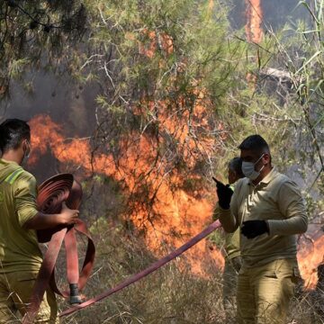 orman-genel-mudurlugunden-antalya-yangini-aciklamasi-Mczs1lhh.jpg Orman Genel Müdürlüğü’nden Antalya yangını açıklaması