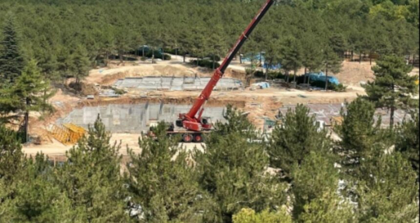 Orman müdürlüğü ormanı katlediyor