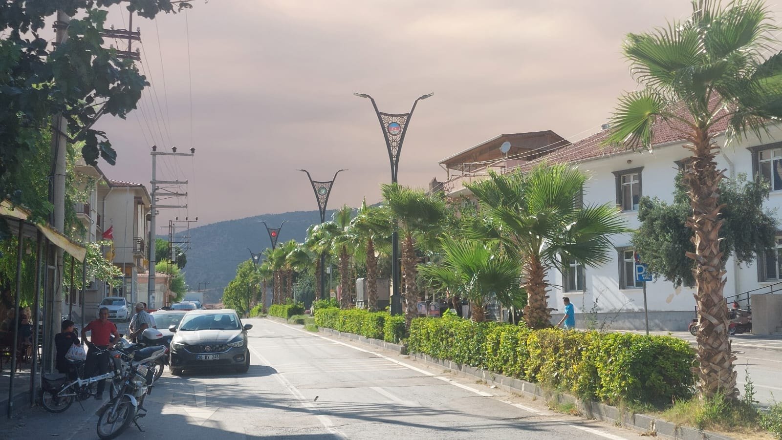 Sakarya'daki yangın Bilecik'e sıçradı, dumanlar Eskişehir'e ulaştı