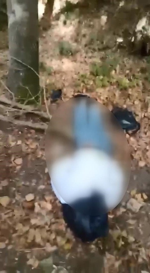 Sarıyer'de vahşet: Başına çöp poşeti geçirilip bantlanmış ceset bulundu