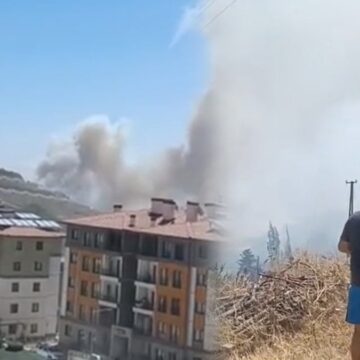 Son Dakika… Hatay’daki yangın yerleşim yerine sıçradı: Vatandaşlar alevleri çığlık atarak izledi