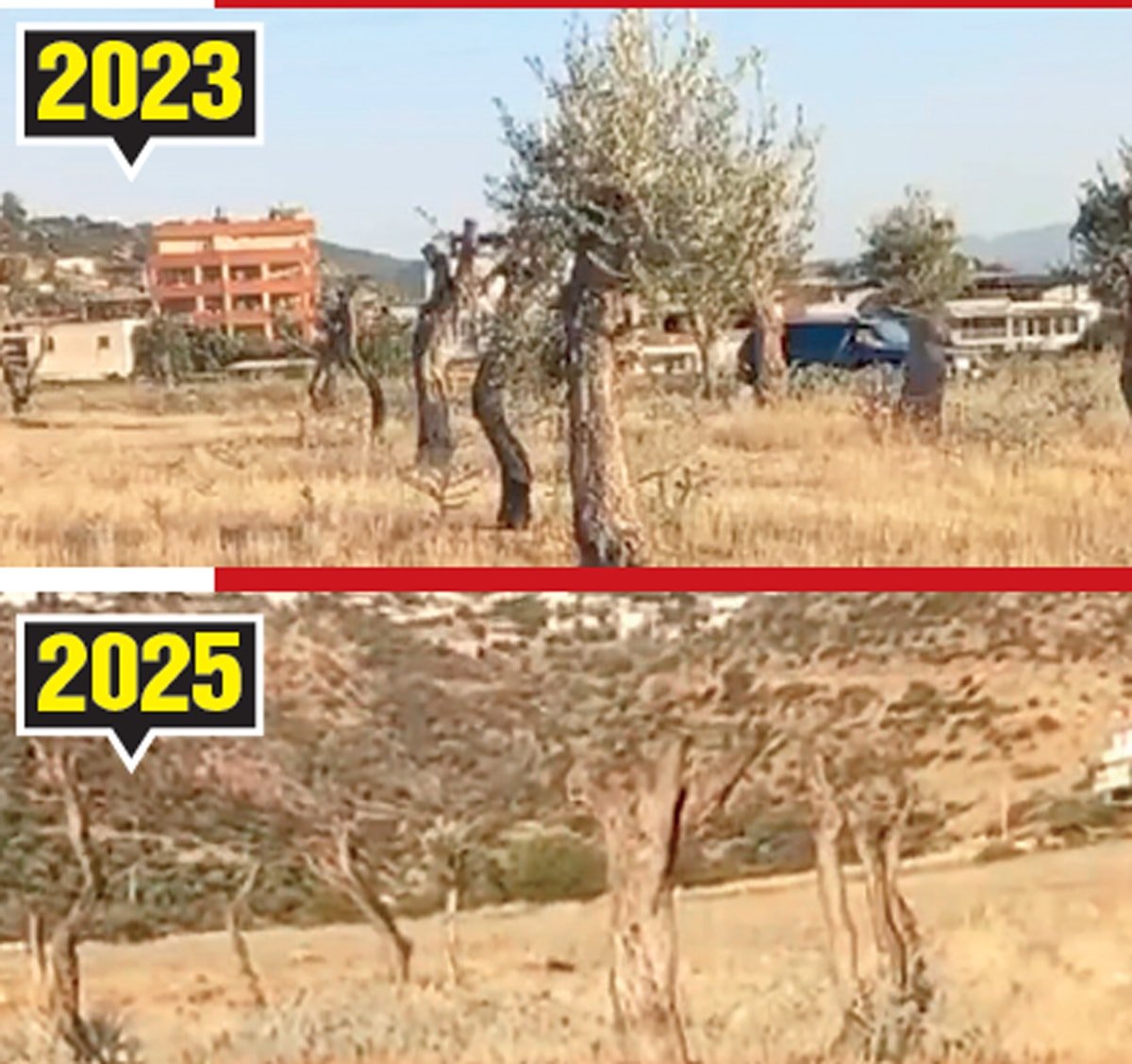 Talan yasası gün sayıyor