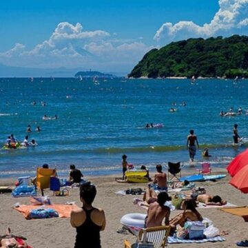 Tek bir sözüyle uçuşlar yüzde 83 azaldı