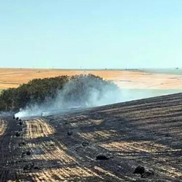 Tekirdağ Malkara’da anız yangını: 500 dönüm buğday tarlası kül oldu