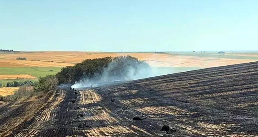 Tekirdağ Malkara’da anız yangını: 500 dönüm buğday tarlası kül oldu