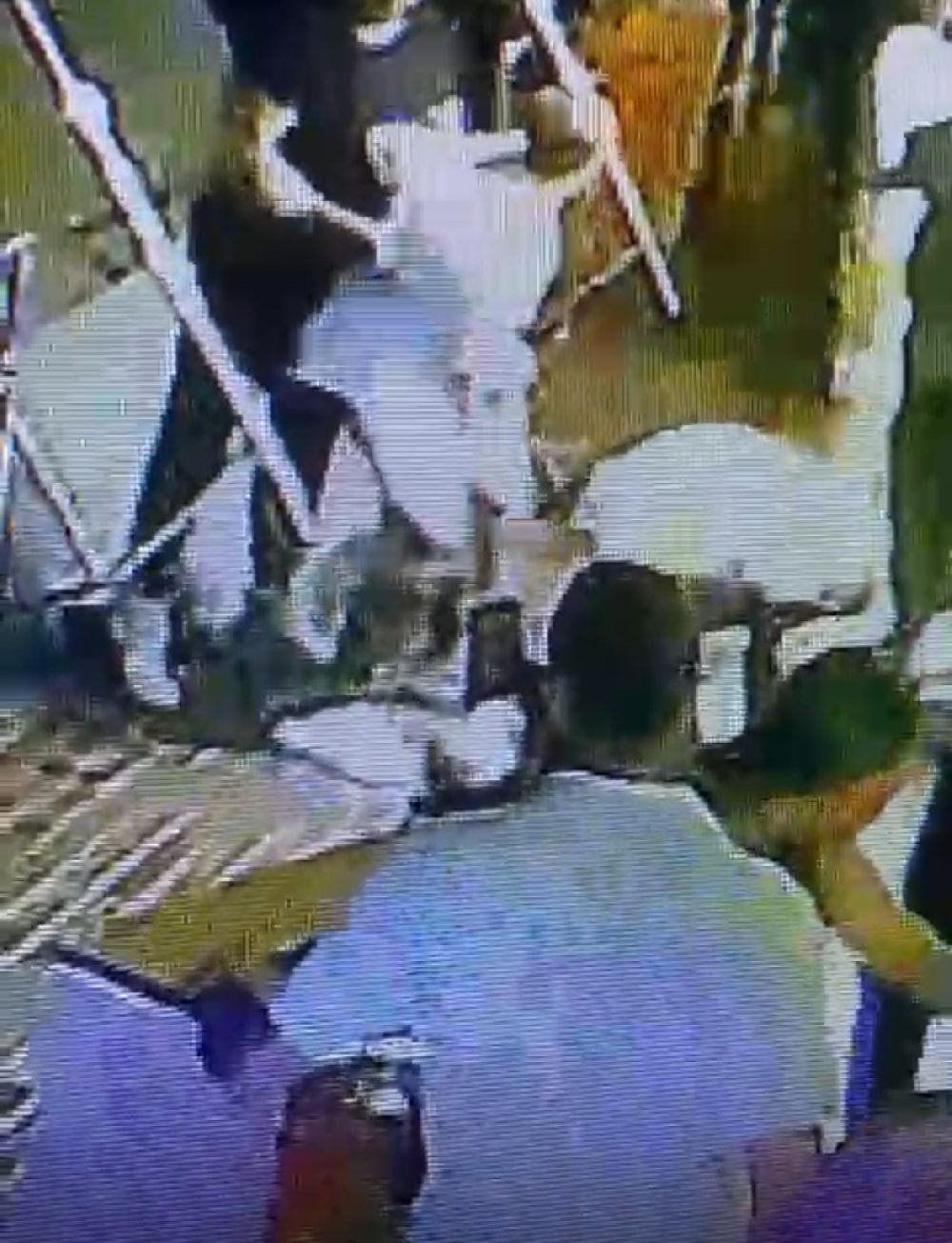 Ünlü fenomen Mika Can Raun'un erkek arkadaşı, çalışanı hastanelik etti