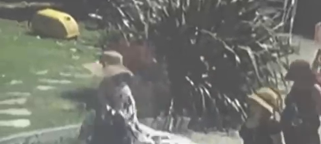 Ünlü profesörün evinde film gibi soygun: Yarım milyonluk vurgun yaptılar