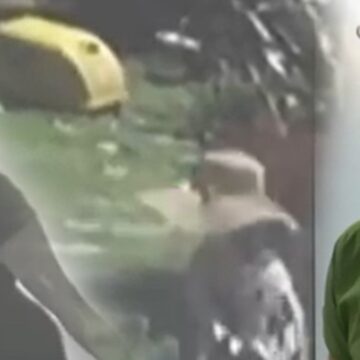 Ünlü profesörün evinde film gibi soygun: Yarım milyonluk vurgun yaptılar