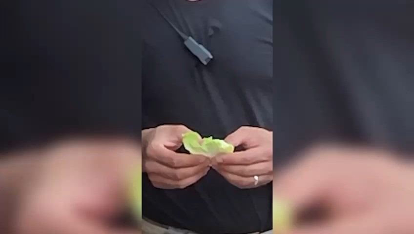 Vali çiğköfte yerine boş marul ikram etti