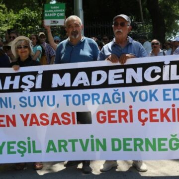 Zeytinliklere ölüm fermanı