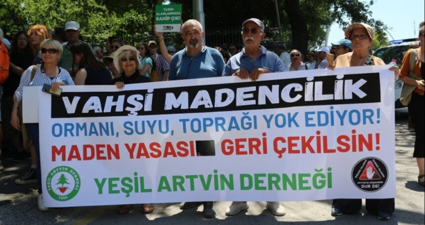 Zeytinliklere ölüm fermanı