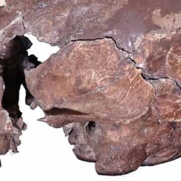 12.500 yıllık bir kafatası, atalarımızın rahatsız edici uygulamasını ortaya koydu