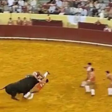 22 yaşındaki matadorun feci sonu! 700 kiloluk boğa arenada dehşet saçtı
