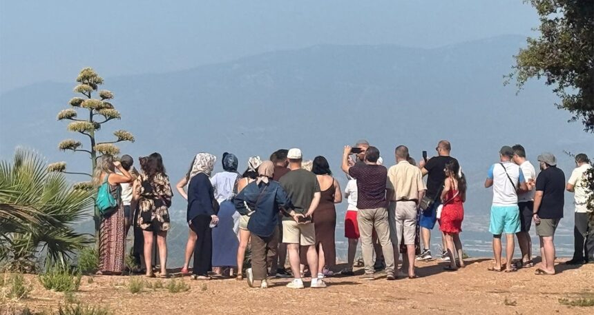 Antalya’da 30 yıl sonra görüldü, turistler görmek için oraya akın etti