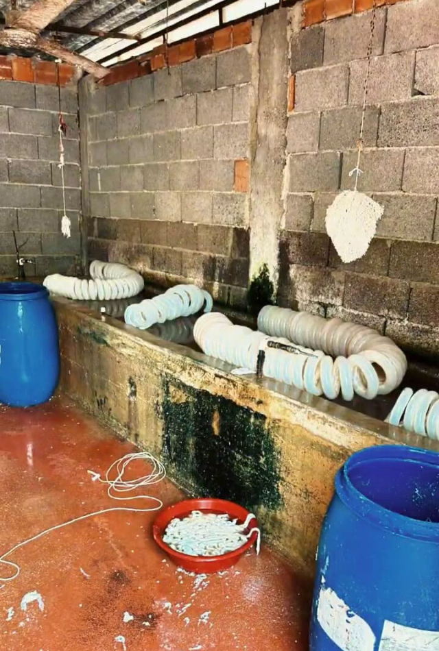 At ve eşek eti skandalını çok duymuştuk: Mide bulandıran rezalet
