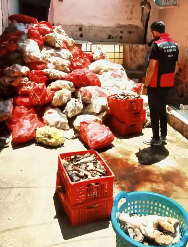 At ve eşek eti skandalını çok duymuştuk: Mide bulandıran rezalet