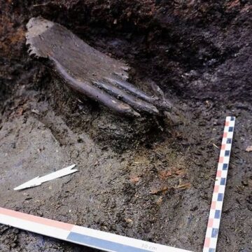 Bataklığın ortasında bulundu: 6 parmaklı ve 7.000 yıllık!