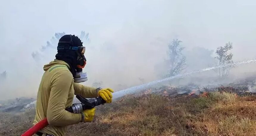 Bolu’da orman yangını: Müdahale başladı