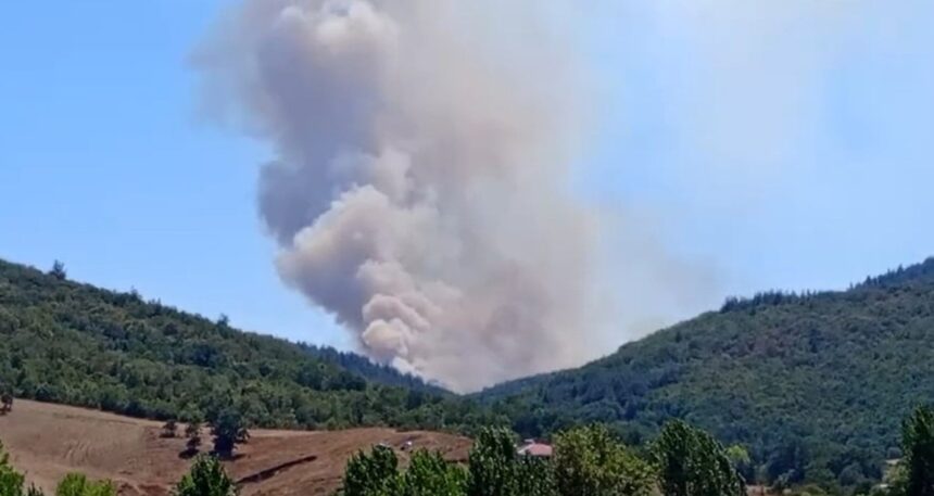 Bursa’da orman yangını: Müdahale ediliyor