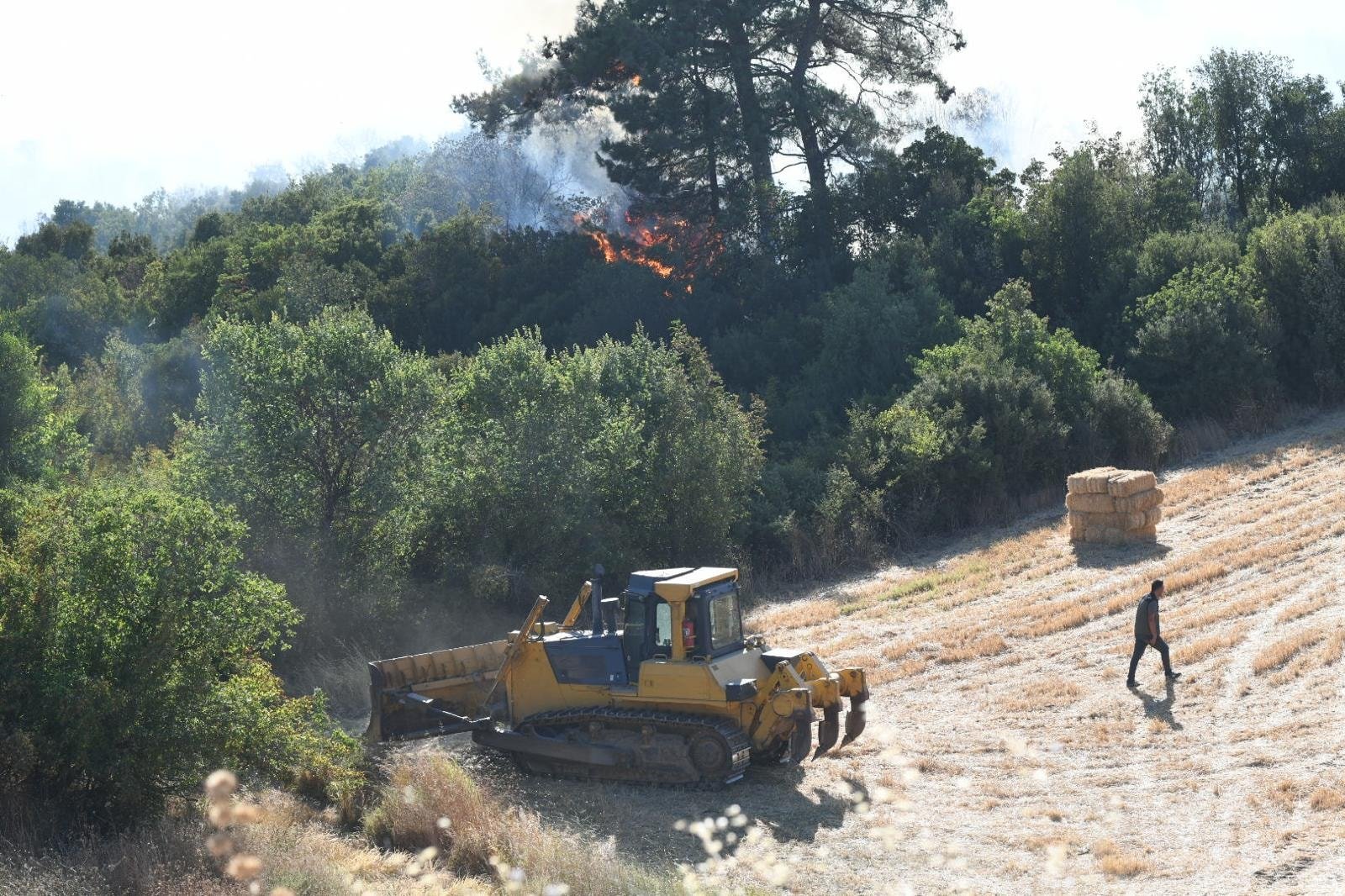Çanakkale ve Sinop'ta orman yangınlarıyla mücadele sürüyor!