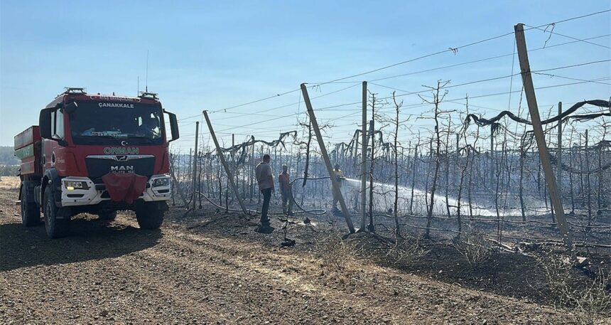 Çanakkale’de bir sere alev alev yandı
