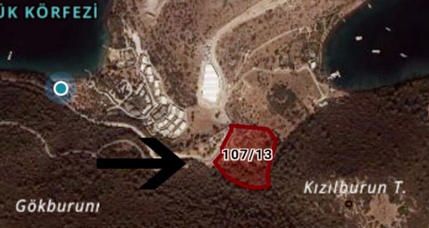 Cennet koyda yeni bir katliam projesi daha