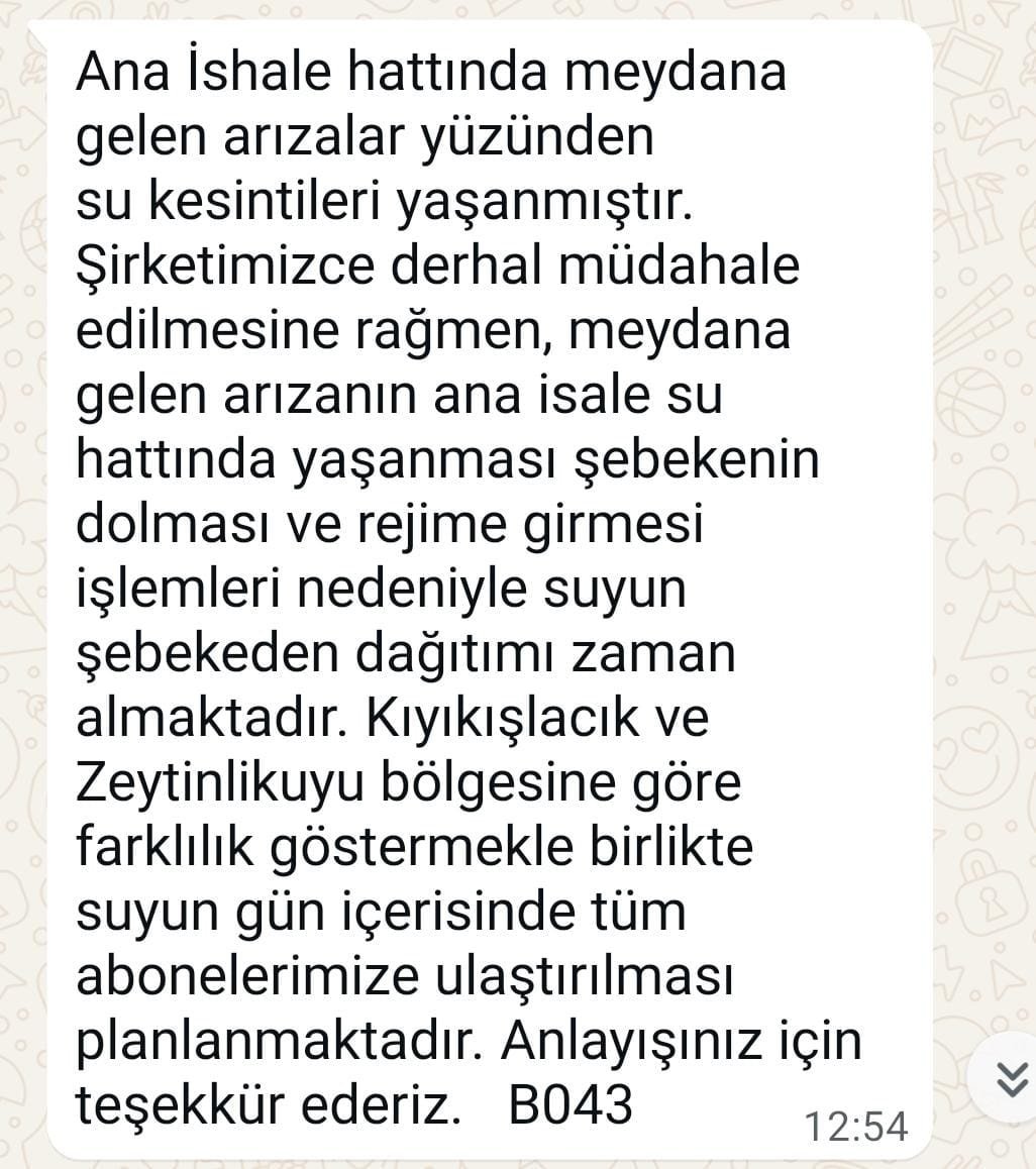 Cumhurbaşkanı yardımcısının yazlığı da orada: 5 bin kişinin yaşadığı tatil cennetinde beş gündür su yok