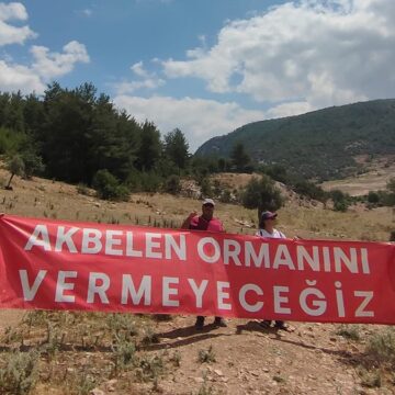 Danıştay’dan Akbelen kararı