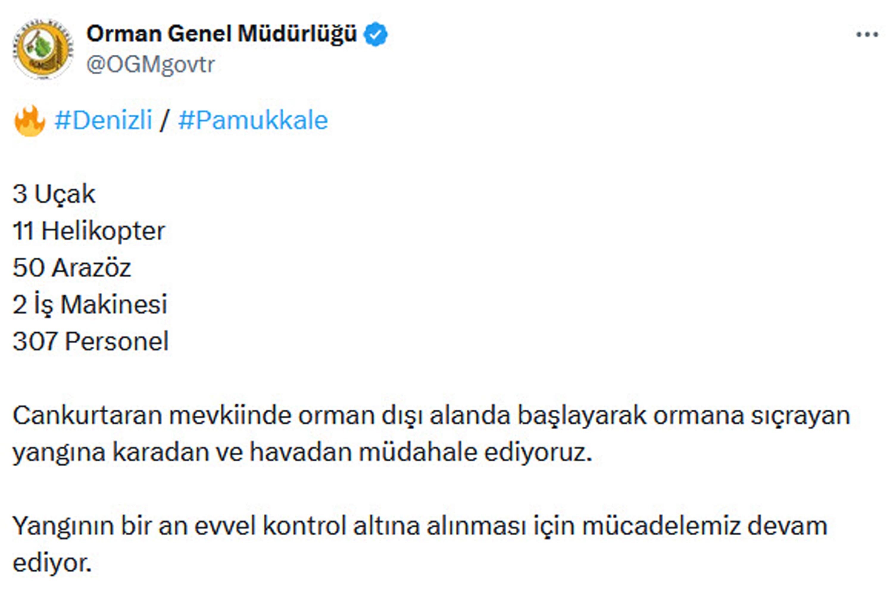 Denizli'de yangın paniği! Alevler ormanlık alanda sıçradı