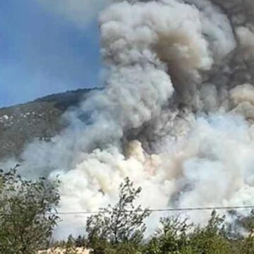denizlide-yangin-panigi-alevler-ormanlik-alanda-sicradi-eJyC7fRI.jpg Denizli’de yangın paniği! Alevler ormanlık alanda sıçradı
