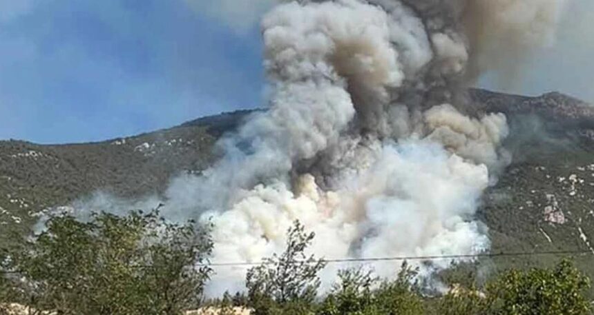 Denizli’de yangın paniği! Alevler ormanlık alanda sıçradı