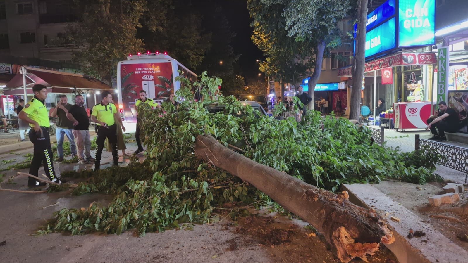 Edirne'de ağaç otomobil ve minibüsün üzerine devrildi