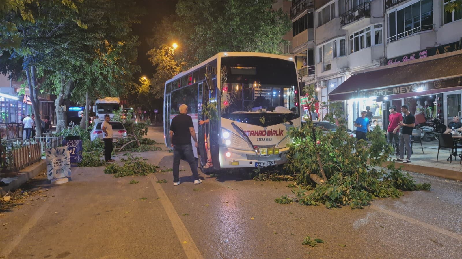Edirne'de ağaç otomobil ve minibüsün üzerine devrildi