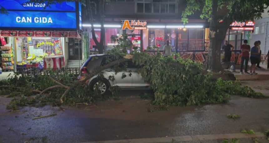 Edirne’de ağaç otomobil ve minibüsün üzerine devrildi