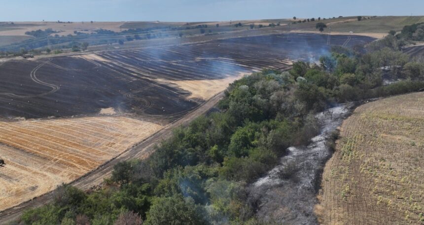 Edirne’de anızda başlayan yangın ormanlık alana sıçradı