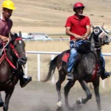 Erzurum’da ‘Rahvan At’lar tozu dumana kattı