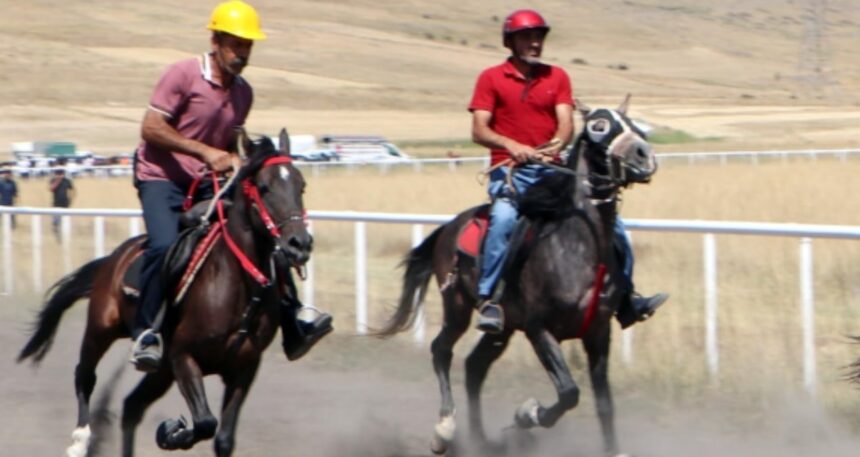 Erzurum’da ‘Rahvan At’lar tozu dumana kattı