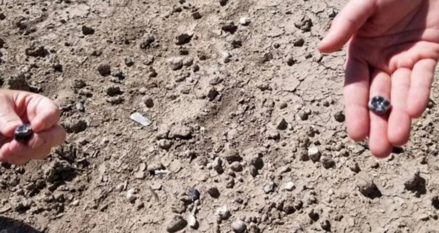 Farklı insan türünün 2.8 milyon yıllık dişleri bulundu