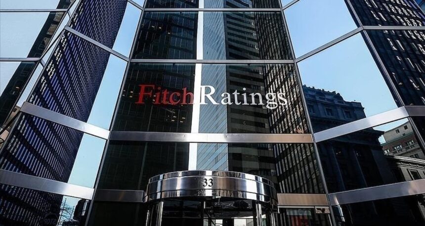 Fitch Ratings’ten SEDDK değerlendirmesi