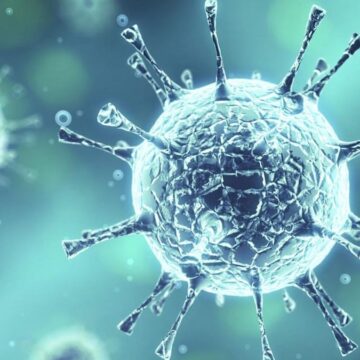 gene-cin-gene-virus-bu-defa-robot-kopekleri-kullanacaklar-UNyz2Gql.jpg Gene Çin gene virüs! Bu defa robot köpekleri kullanacaklar