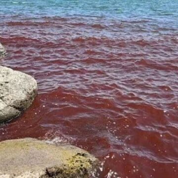 Göl bir anda kan kırmızıya büründü: ‘Son zamanların habercisi’