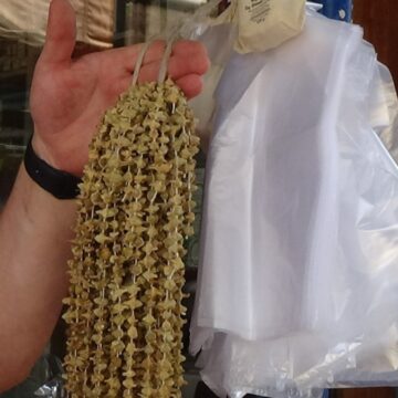 Gram altını solladı, kurusunun kilosu 5 bin lira: Kapış kapış satılıyor