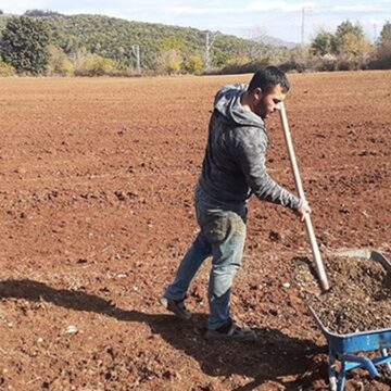 Grev Cengiz’e yaradı, gübreye zam yağdırdı