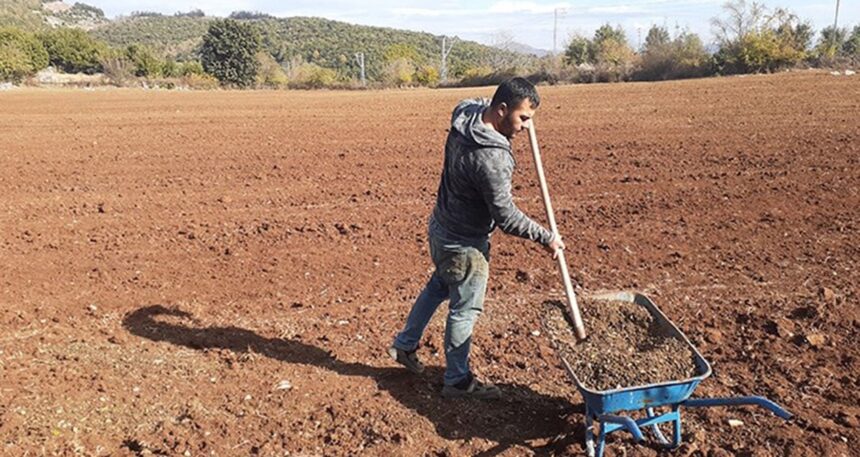 Grev Cengiz’e yaradı, gübreye zam yağdırdı