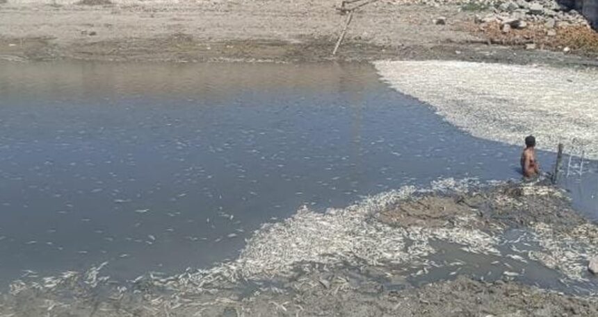 Hatay’da endişelendiren görüntü