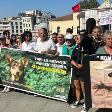 Hayvan Hakları Savunucularından Valilik önünde protesto